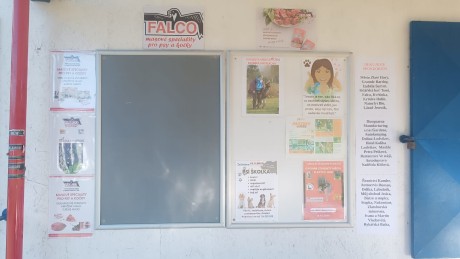 Obrázek WhatsApp, 2025-11-08 v 06.36.10_6c4e0cf2