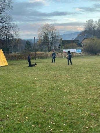 Obrázek WhatsApp, 2025-11-09 v 10.36.01_0e14d1bb