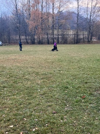 Obrázek WhatsApp, 2025-11-09 v 10.36.04_a109ea28