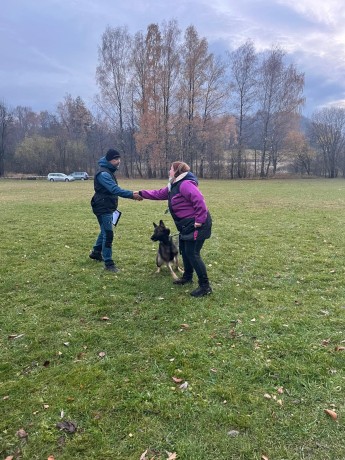 Obrázek WhatsApp, 2025-11-09 v 10.36.14_e17f677f