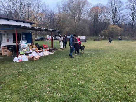 Obrázek WhatsApp, 2025-11-09 v 10.36.23_9cfe0579