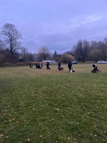 Obrázek WhatsApp, 2025-11-09 v 10.36.28_2e96b239