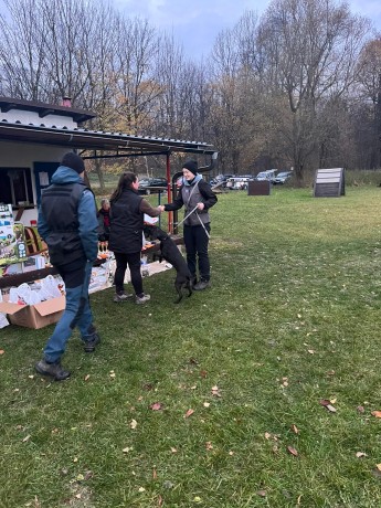 Obrázek WhatsApp, 2025-11-09 v 10.36.34_a1a4e9bc