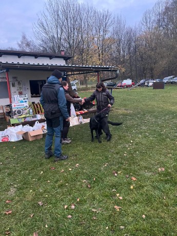 Obrázek WhatsApp, 2025-11-09 v 10.36.44_96e9eb86