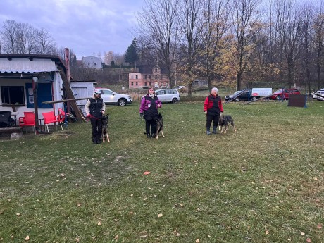 Obrázek WhatsApp, 2025-11-09 v 10.36.53_83ce5b6e