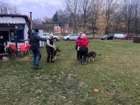 Obrázek WhatsApp, 2025-11-09 v 10.36.58_f294ec35