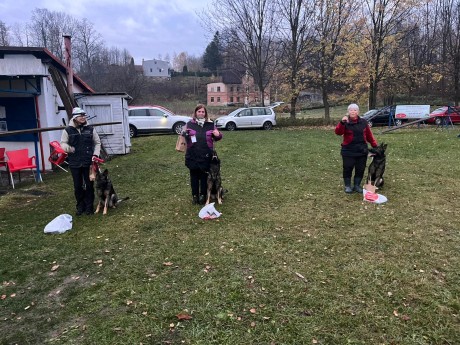 Obrázek WhatsApp, 2025-11-09 v 10.37.01_c1e41a1d