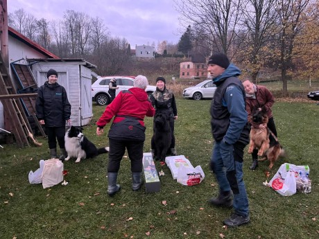 Obrázek WhatsApp, 2025-11-09 v 10.37.15_0757f63e