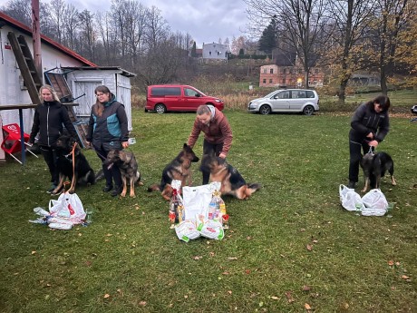 Obrázek WhatsApp, 2025-11-09 v 10.37.31_d1a613ac