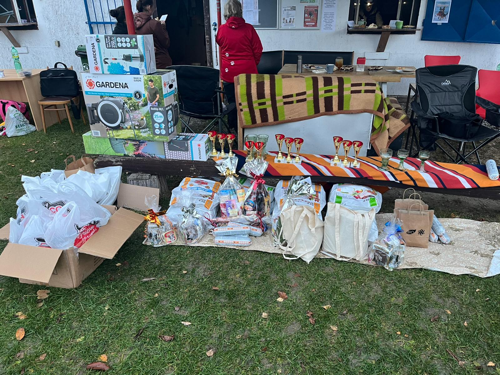 Obrázek WhatsApp, 2025-11-09 v 10.35.58_017c870c