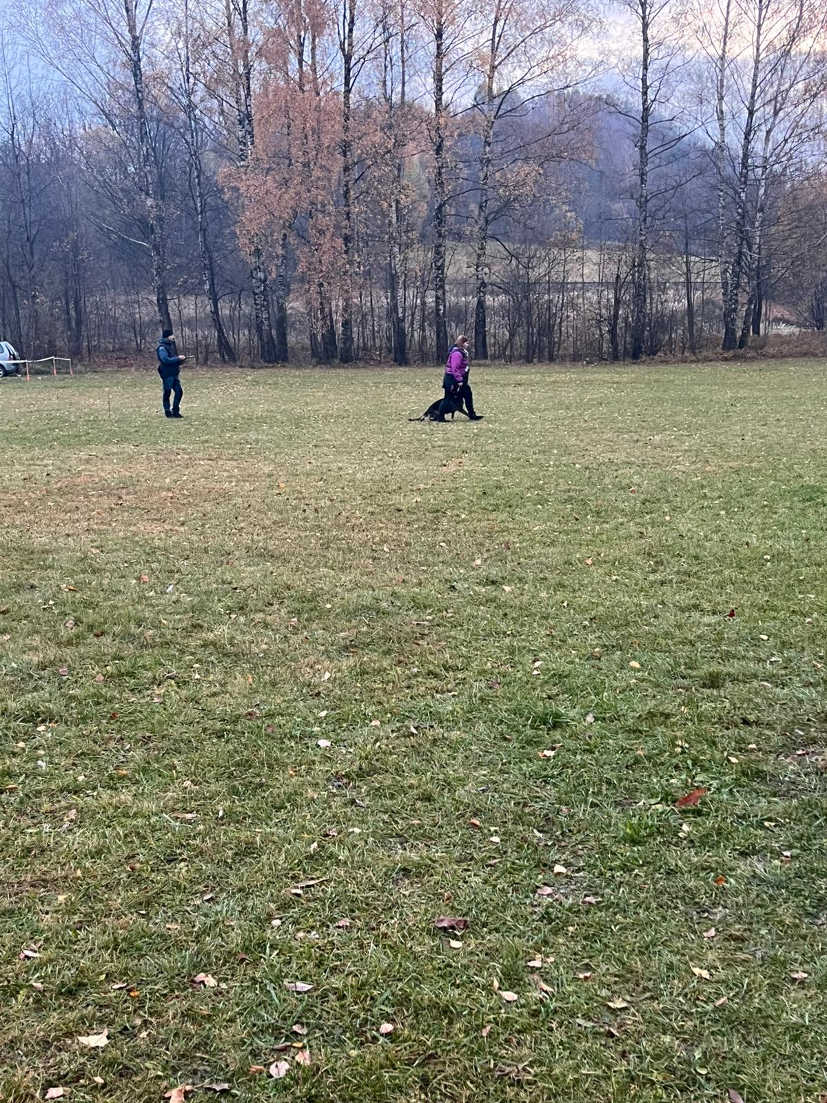 Obrázek WhatsApp, 2025-11-09 v 10.36.04_a109ea28