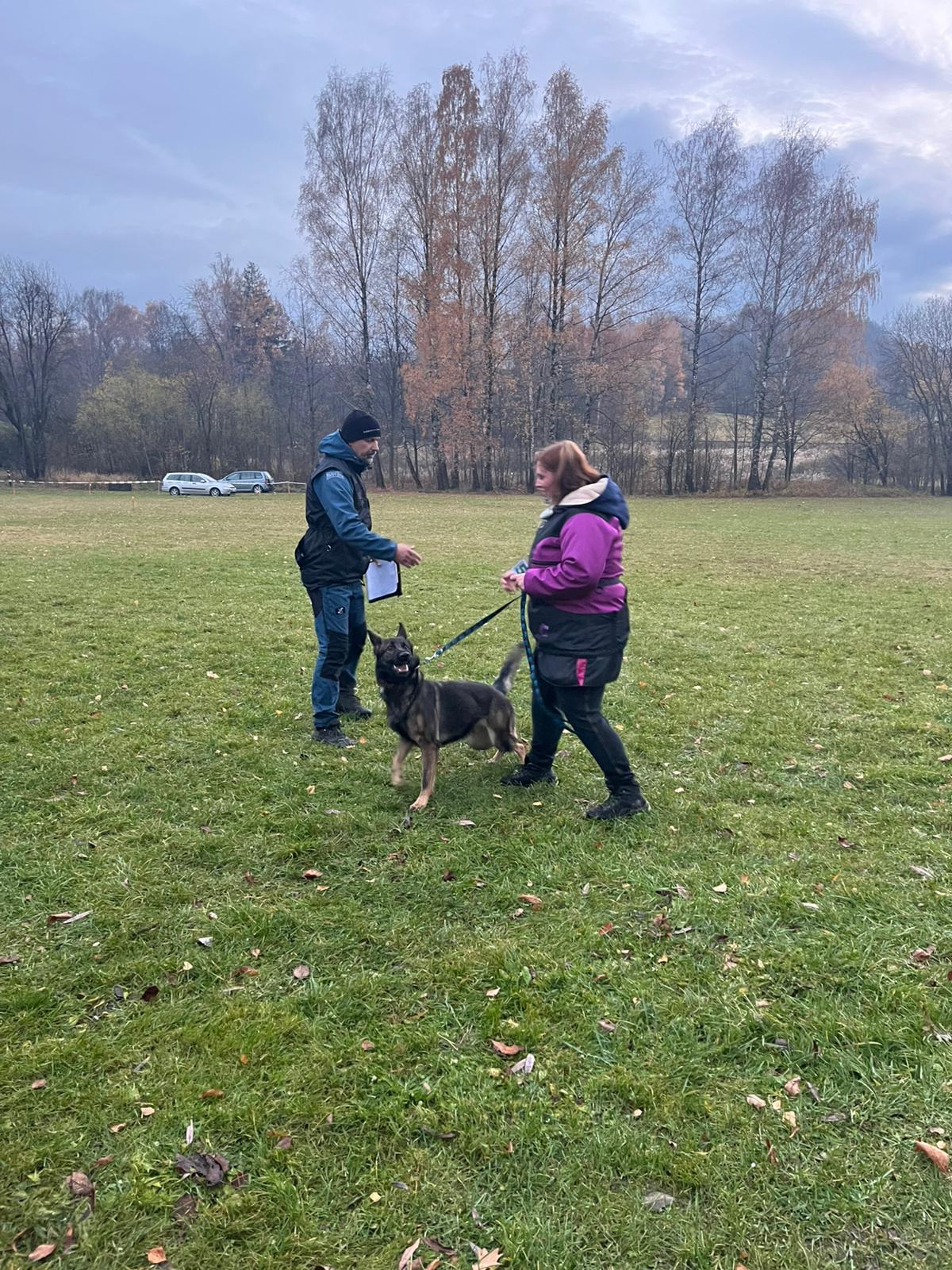 Obrázek WhatsApp, 2025-11-09 v 10.36.17_3cc17709