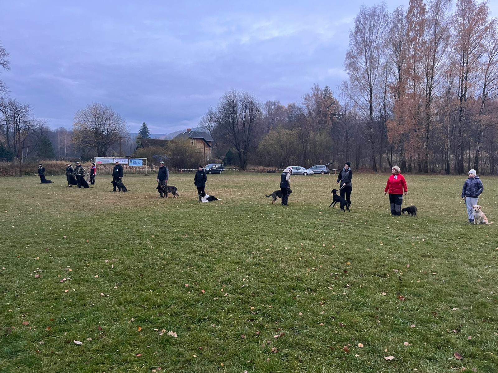 Obrázek WhatsApp, 2025-11-09 v 10.36.31_e2c6e651