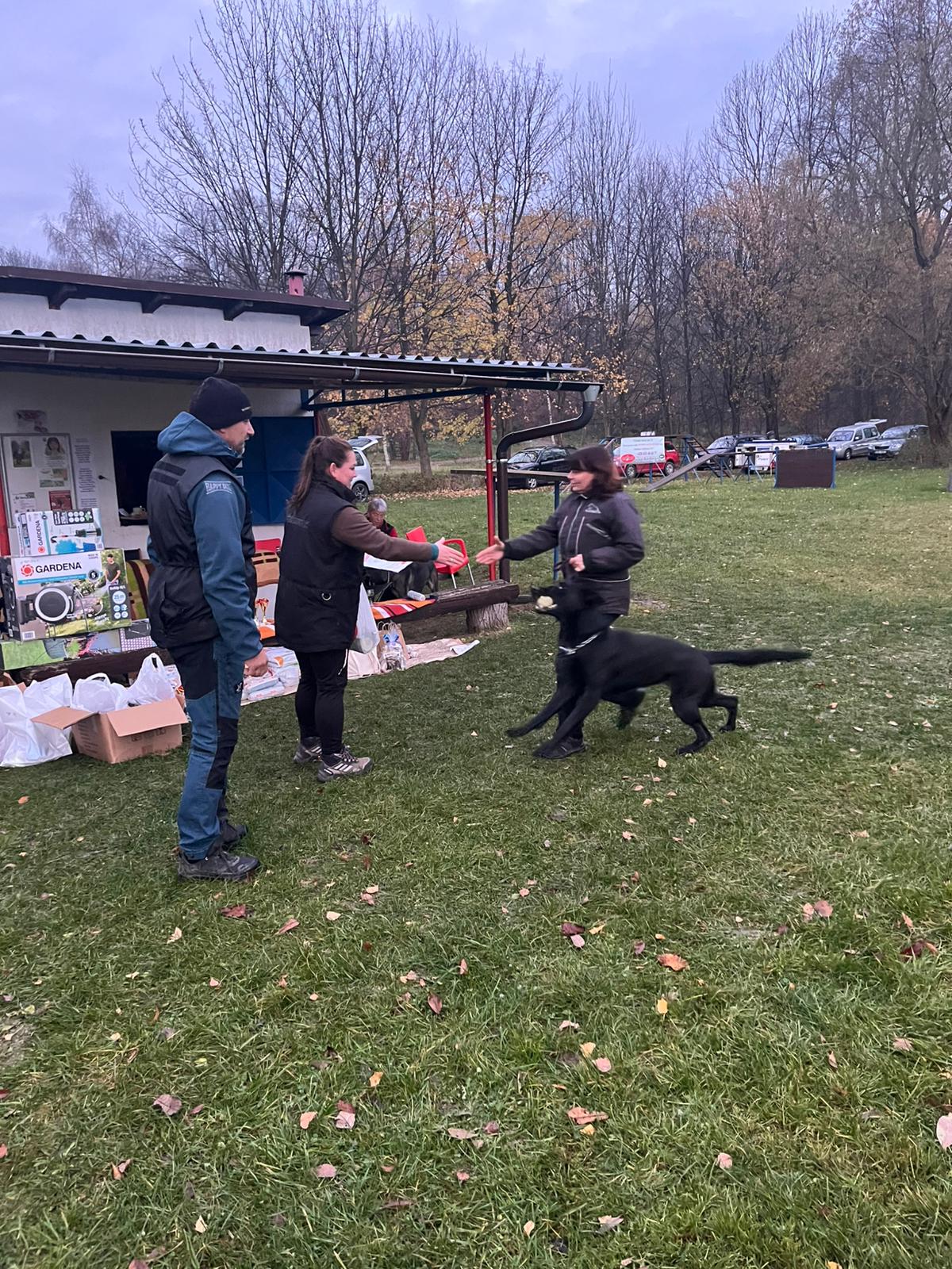 Obrázek WhatsApp, 2025-11-09 v 10.36.42_4a22f5af