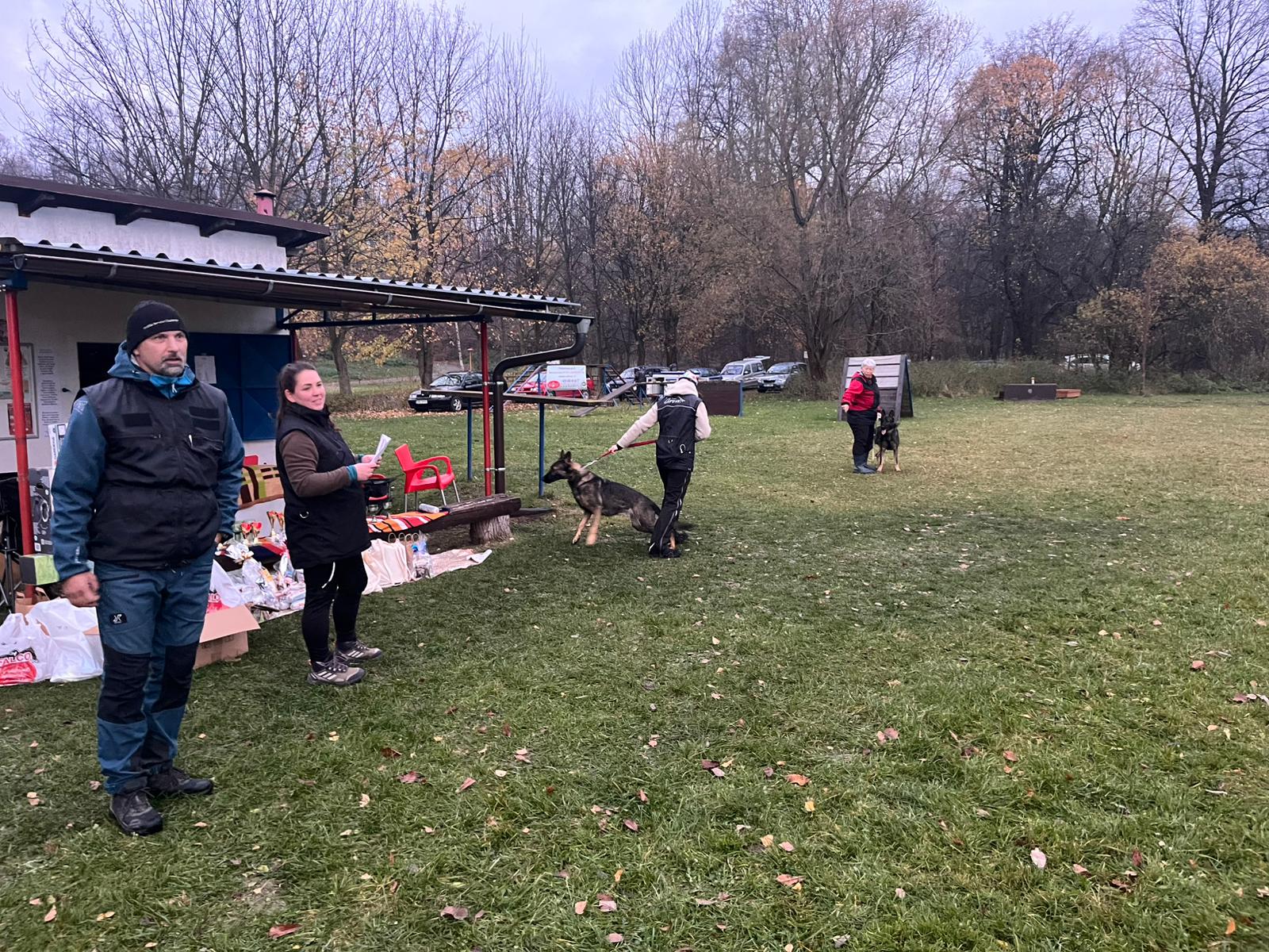 Obrázek WhatsApp, 2025-11-09 v 10.36.47_9f561114