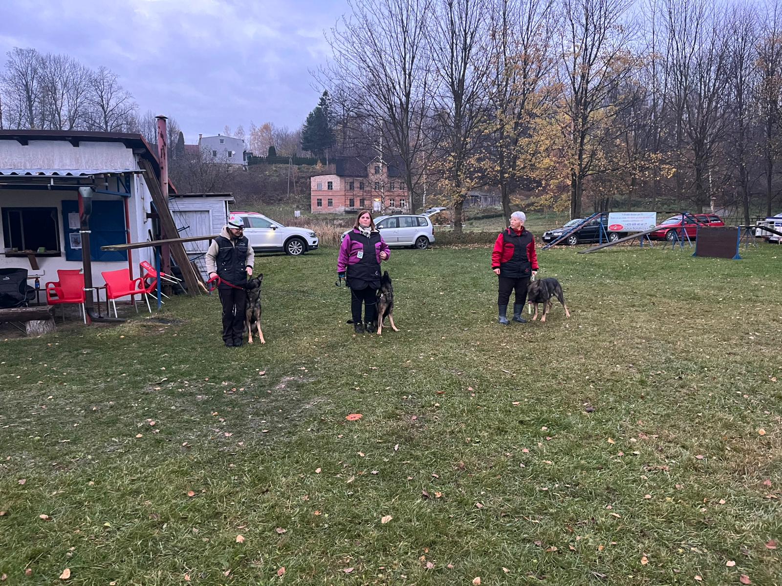 Obrázek WhatsApp, 2025-11-09 v 10.36.53_83ce5b6e