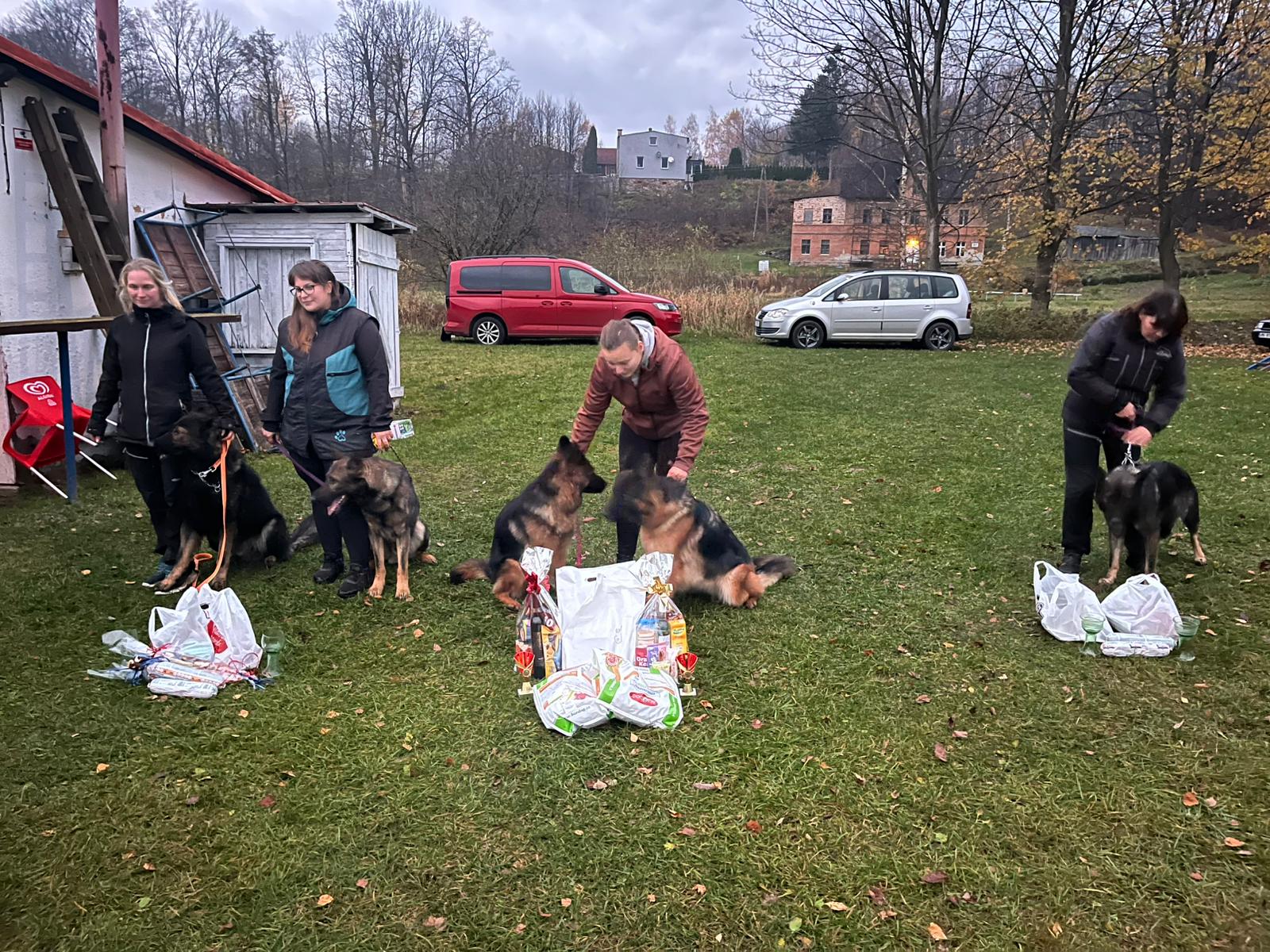 Obrázek WhatsApp, 2025-11-09 v 10.37.31_d1a613ac